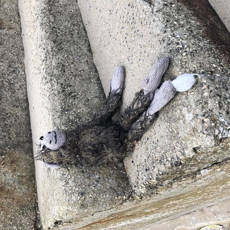 Found — Filey beach, North Yorkshire, UK, YO14 9JY