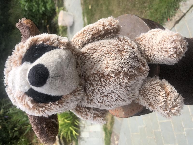 Found — A35, near Dorchester, Dorset