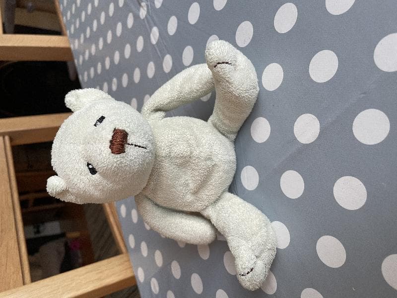 Lost — Stafford or Knutsford services M6