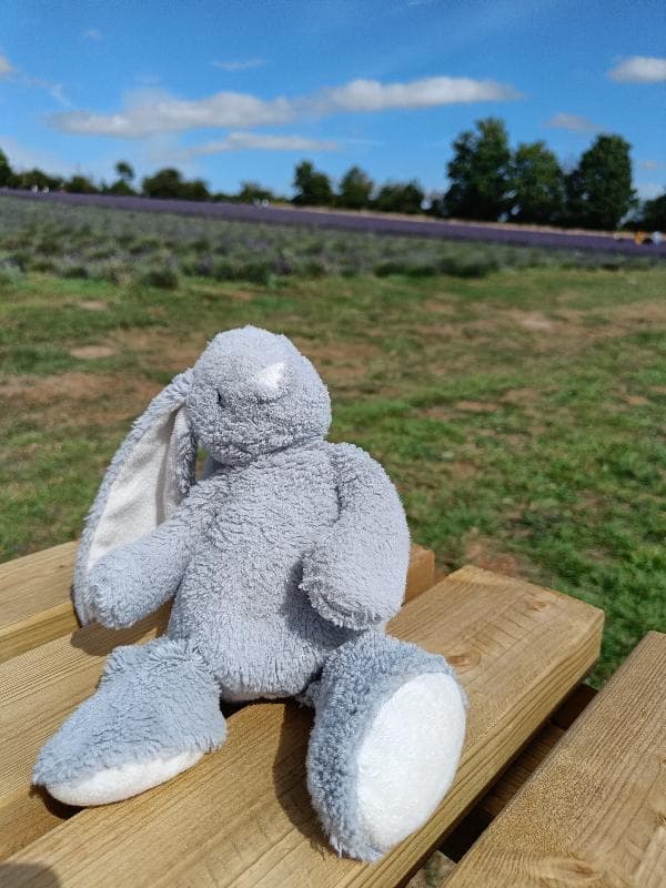 Lost — Jephson gardens, Leamington spa, uk
