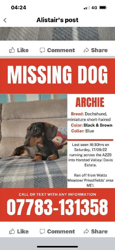Lost — Maidstone road Medway Kent
