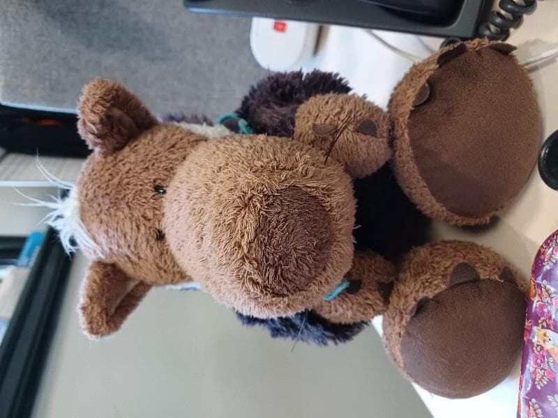Found — London NW