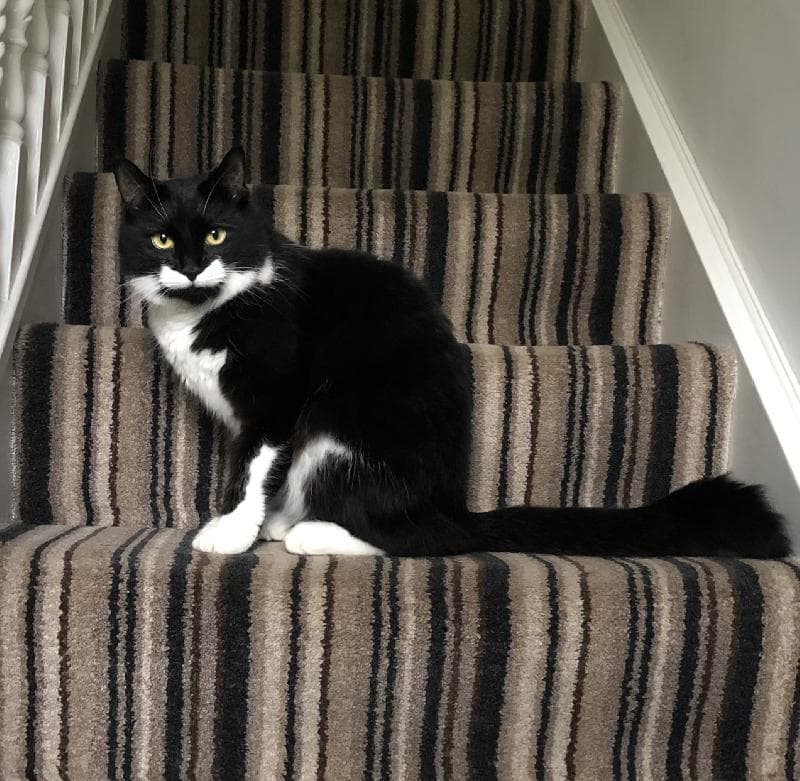 Lost — Raby Mere (Wirral)