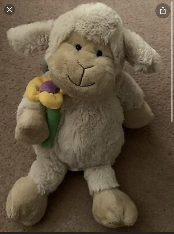 Lost — DEVON Slapton Ley torcross