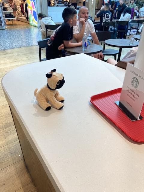 Found — Bristol airport