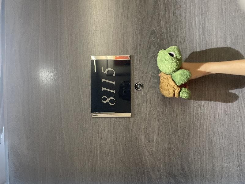 Found — MSC Virtuosa Cruise Ship cabin 8115 southampton
