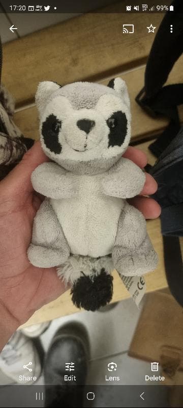 Lost — Bingley