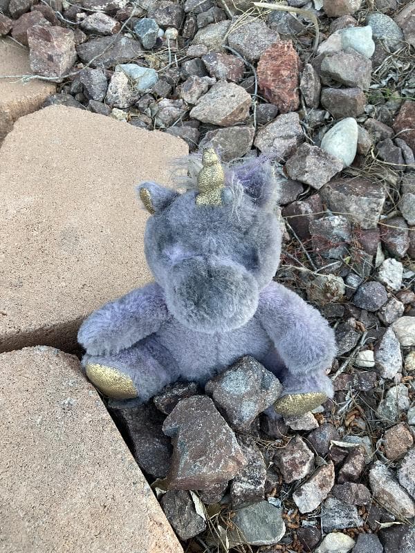 Found — corner elkhorn and cimarron, las vegas, nv