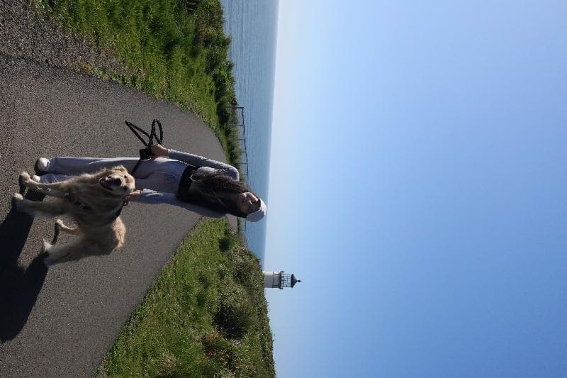 Found — Eagle Dr, Elma, WA 98541